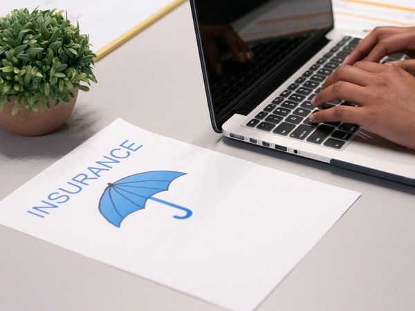 Assurance professionnelle : comment bien la choisir ?